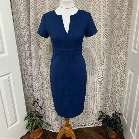 ann taylor blue dress The Maternity Tulle Ellie Nap Dress main image 0
